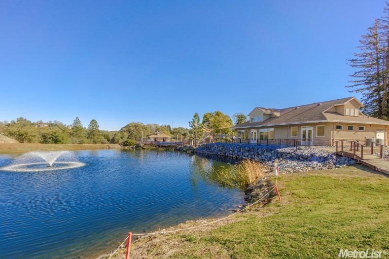 2029 Onion Flat Ct, Cool, CA 95614 photo 23