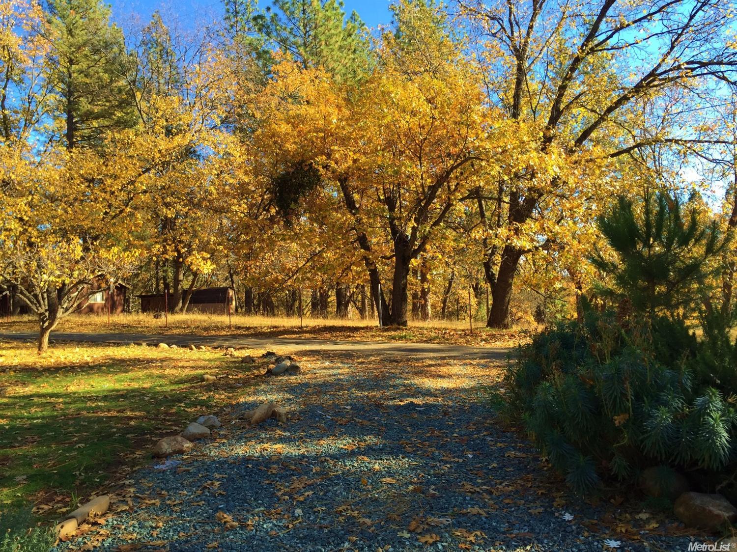 3101 E Ridgewood Dr, Placerville, CA 95667 photo 5