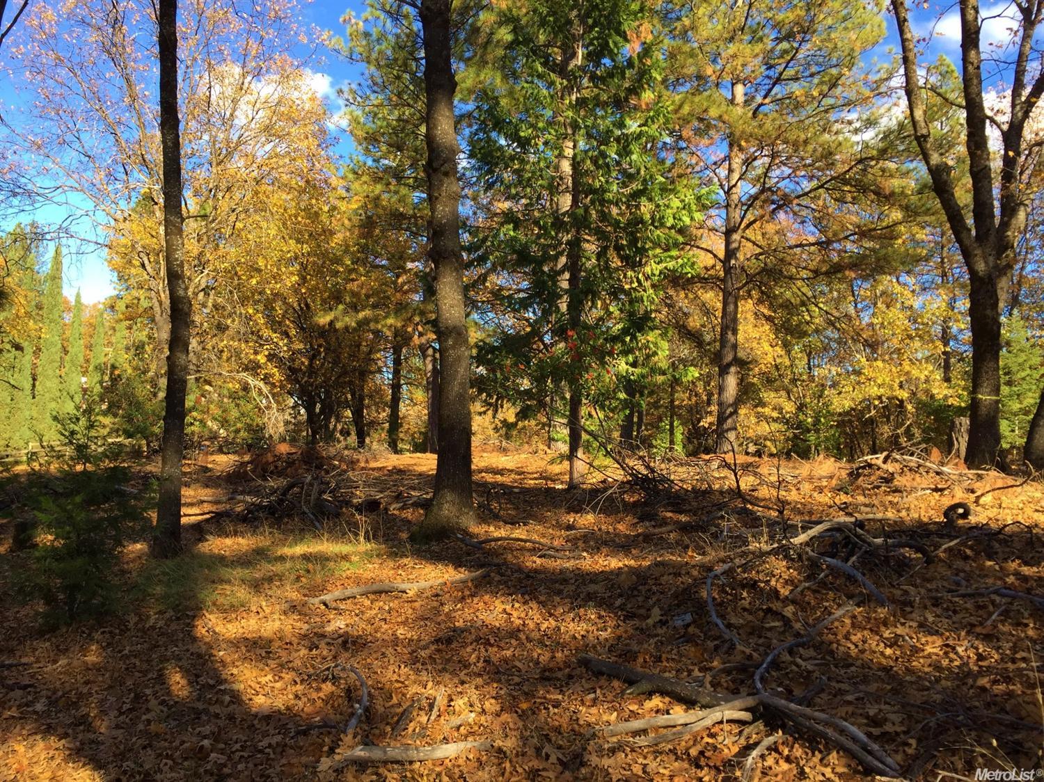 3101 E Ridgewood Dr, Placerville, CA 95667 photo 7