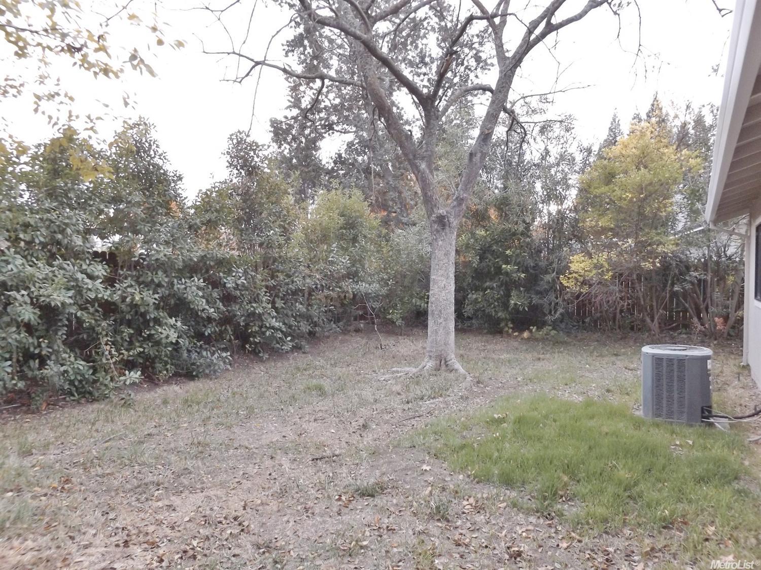 9528 Central Ave, Folsom, CA 95630 photo 22