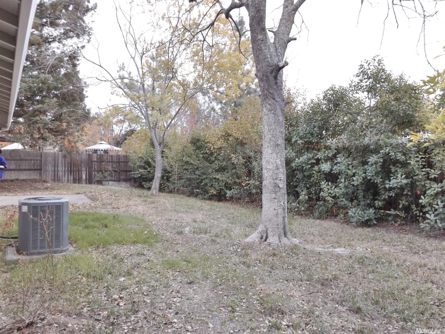 9528 Central Ave, Folsom, CA 95630 photo 25