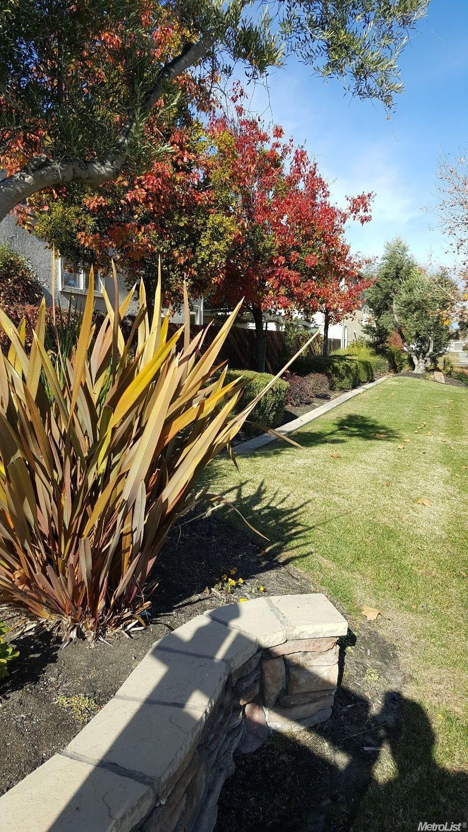 607 Anna Dr, Ripon, CA 95366 photo 2