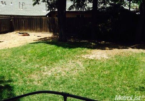 315 Locust Ave, Manteca, CA 95337 photo 10