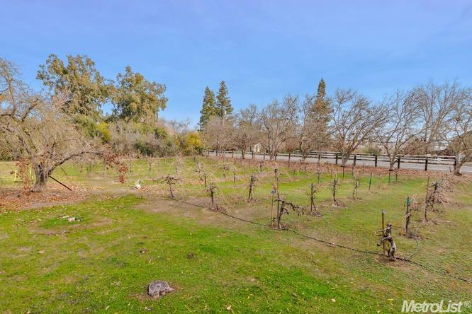 25450 Cr 96, Davis, CA 95616 photo 13