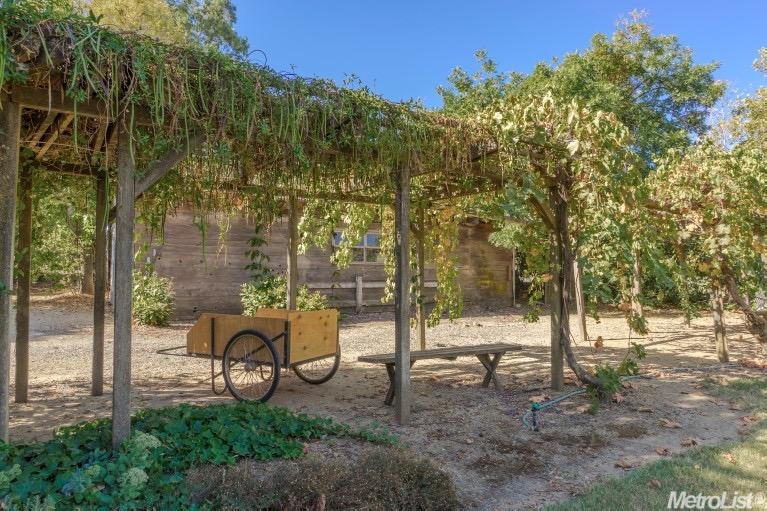 25450 Cr 96, Davis, CA 95616 photo 23