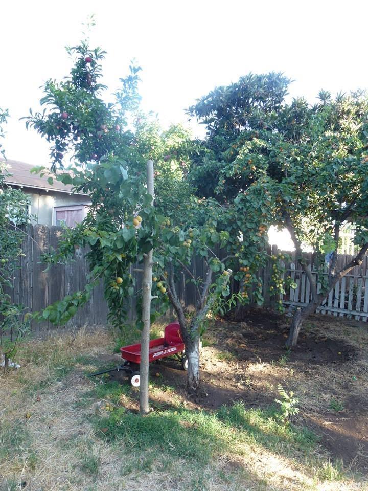 1804 Donald St, Modesto, CA 95351 photo 5