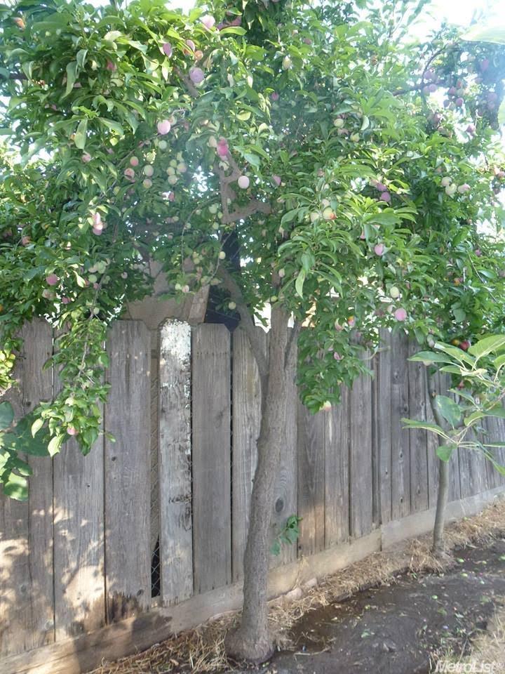 1804 Donald St, Modesto, CA 95351 photo 6
