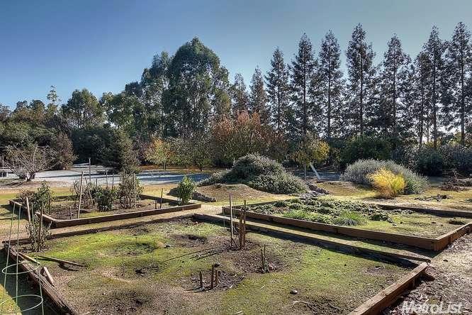 21980 E 3rd Ave, Linden, CA 95236 photo 21