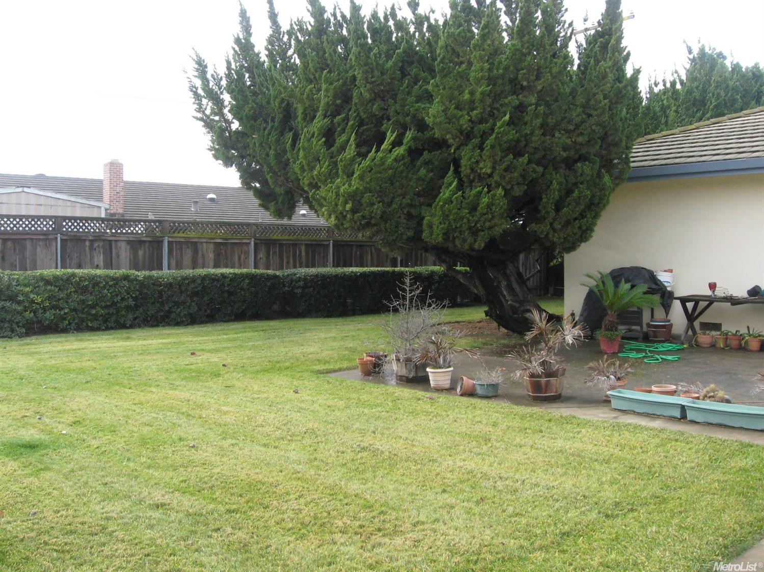 1830 W Lodi Ave, Lodi, CA 95242 photo 10