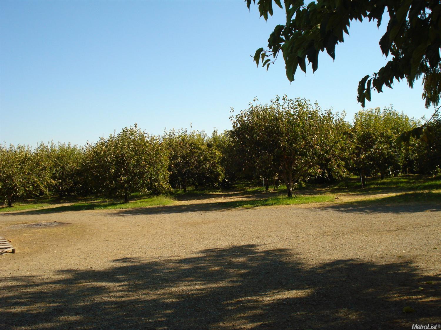 12125 County Road 84b, Capay, CA 95607 photo 3