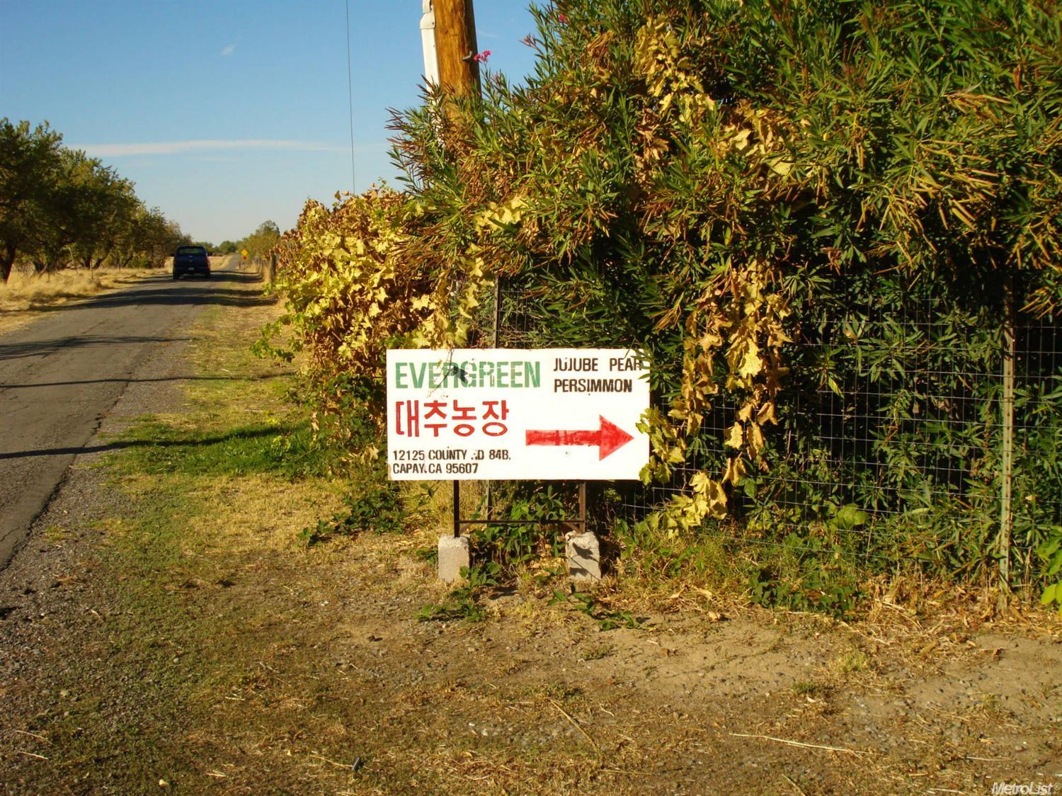 12125 County Road 84b, Capay, CA 95607 photo 9