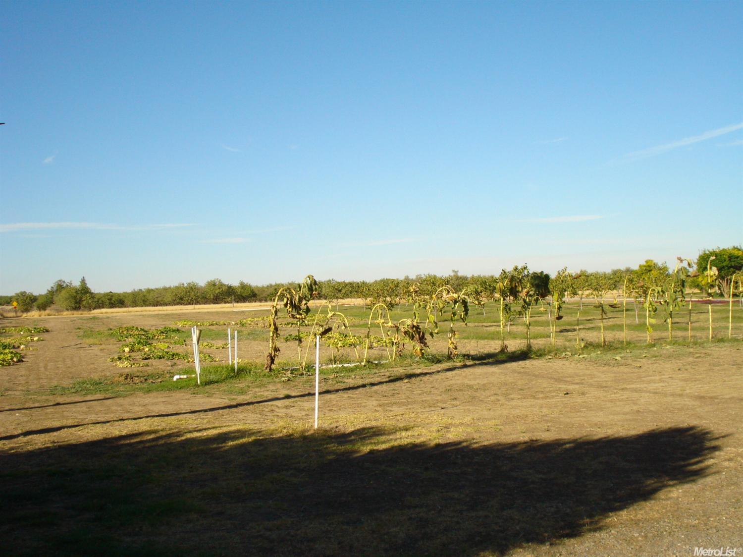 12125 County Road 84b, Capay, CA 95607 photo 10