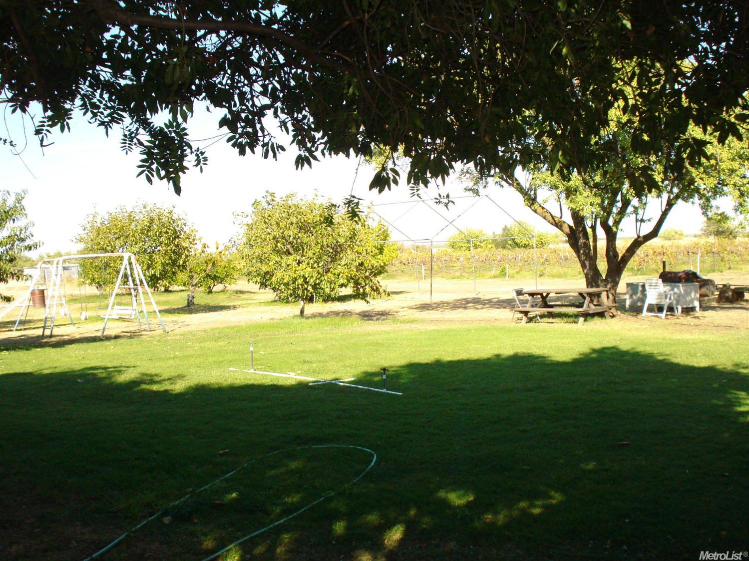 12125 County Road 84b, Capay, CA 95607 photo 4