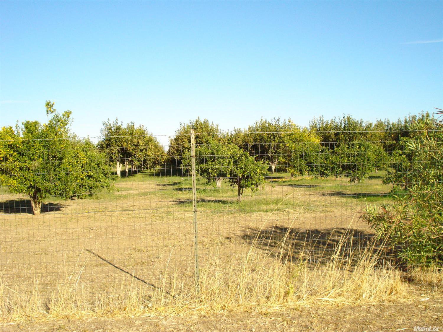 12125 County Road 84b, Capay, CA 95607 photo 15