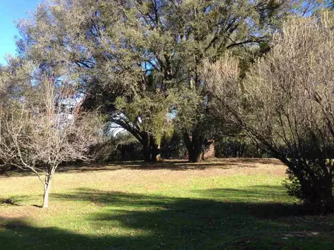 18475 Ridge Rd, Pine Grove, CA 95665 photo 14