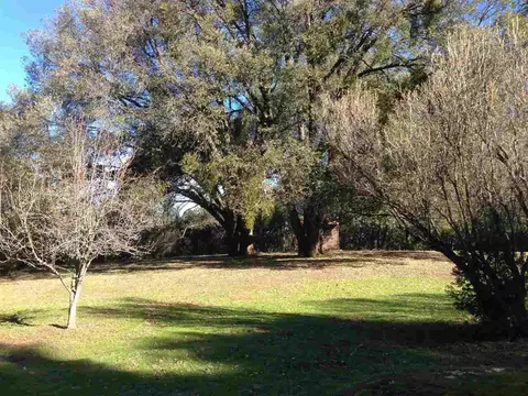 18475 Ridge Rd, Pine Grove, CA 95665 photo 31