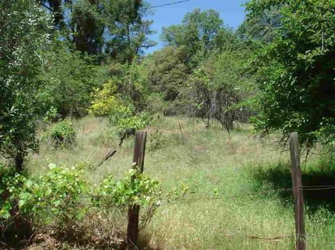 1069 Bald Mountain Rd, West Point, CA 95255 photo 2