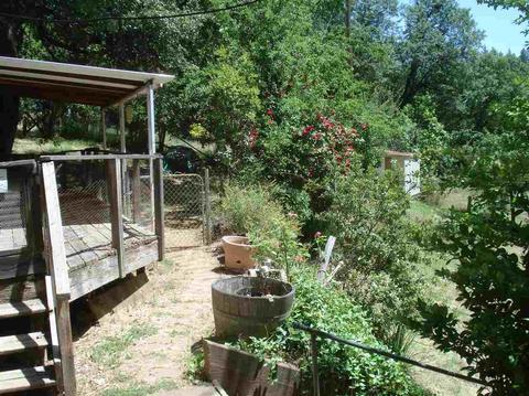 1069 Bald Mountain Rd, West Point, CA 95255 photo 14