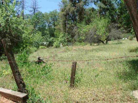 1069 Bald Mountain Rd, West Point, CA 95255 photo 3