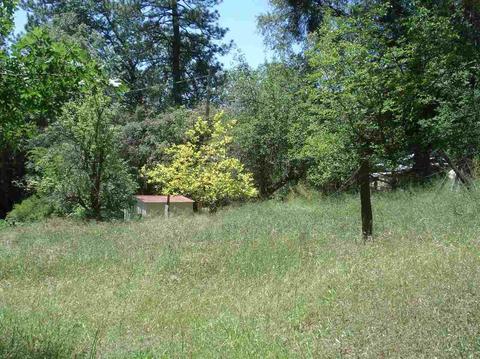 1069 Bald Mountain Rd, West Point, CA 95255 photo 16