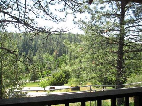 701 Barney Way, West Point, CA 95255 photo 24