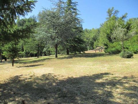 701 Barney Way, West Point, CA 95255 photo 15