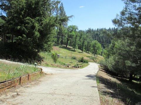 701 Barney Way, West Point, CA 95255 photo 9