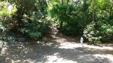 12801 Sutter Creek Rd, Sutter Creek, CA 95685 photo 10