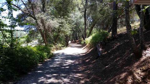 12801 Sutter Creek Rd, Sutter Creek, CA 95685 photo 15
