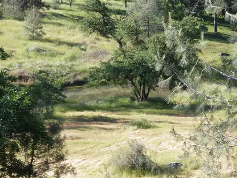 19660 Shake Ridge Rd, Volcano, CA 95689 photo 2