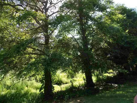 145 Spanish St, Sutter Creek, CA 95685 photo 17