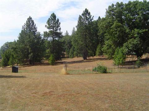 311 Stanley Rd, West Point, CA 95255 photo 10