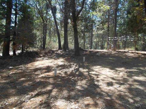 1937 Winton Rd, West Point, CA 95255 photo 3