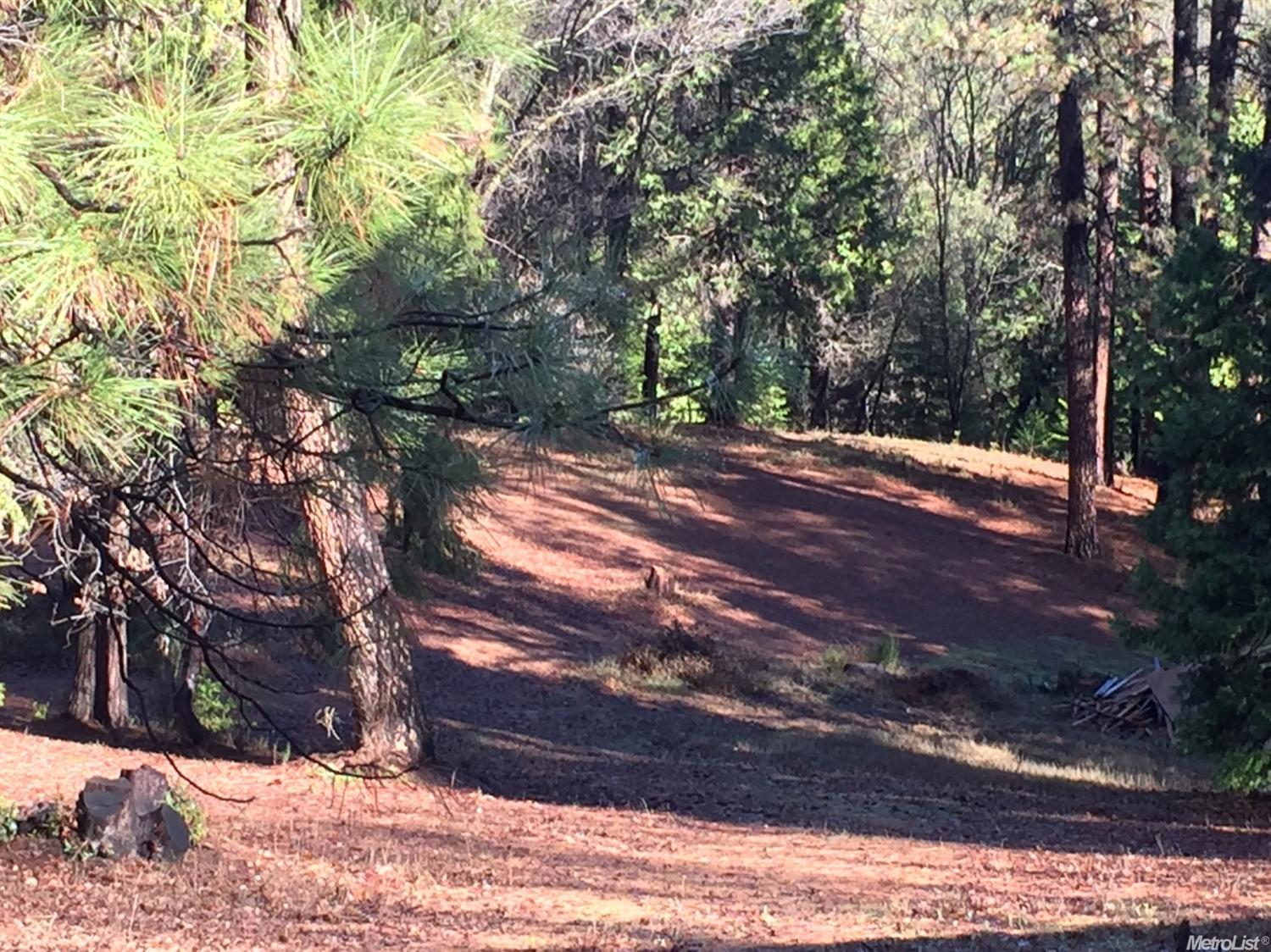 2755 Quiet Pl, Georgetown, CA 95634 photo 20
