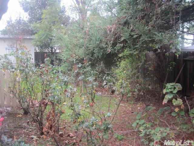 337 E Springer Dr, Turlock, CA 95382 photo 20