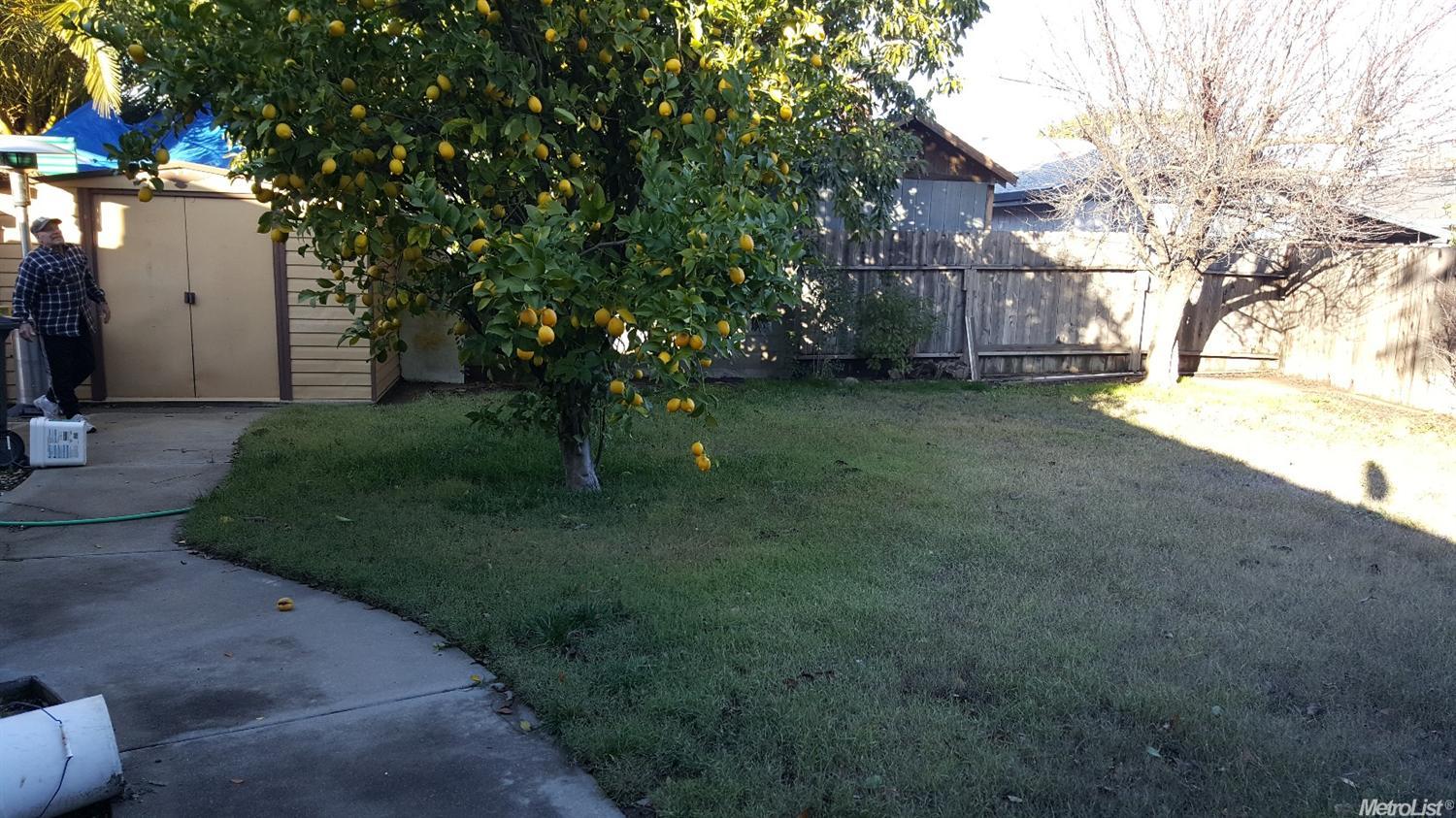 441 Cedar Ct, Lodi, CA 95240 photo 19