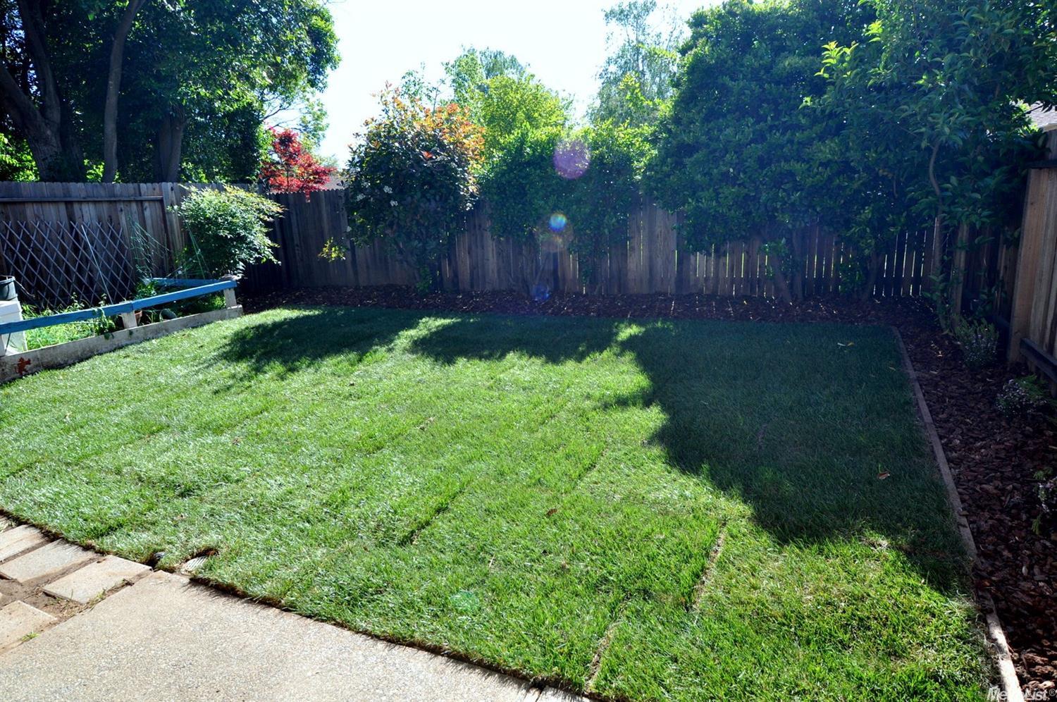 1011 Arthur St, Davis, CA 95616 photo 16