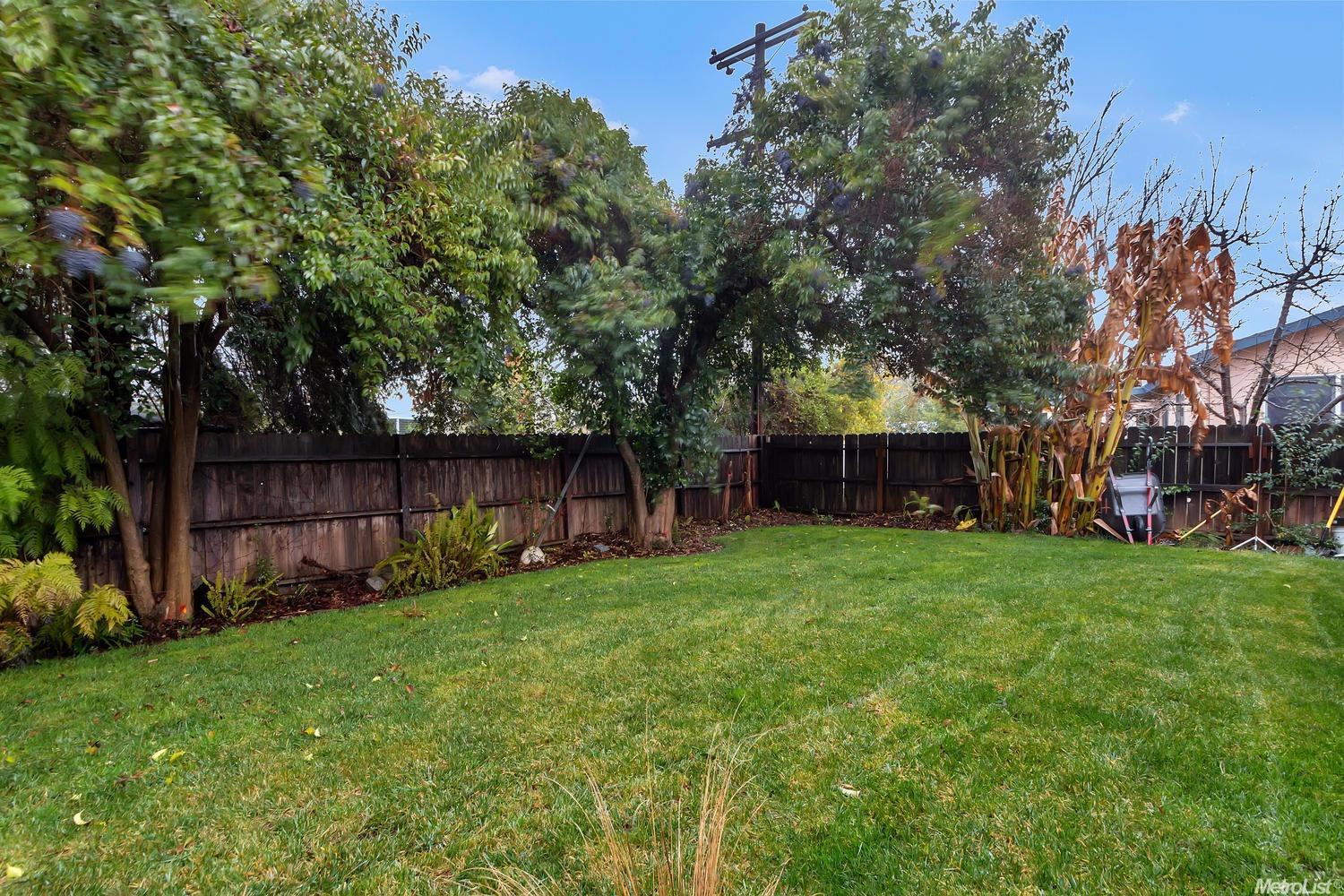 1405 Birch Ln, Davis, CA 95618 photo 10