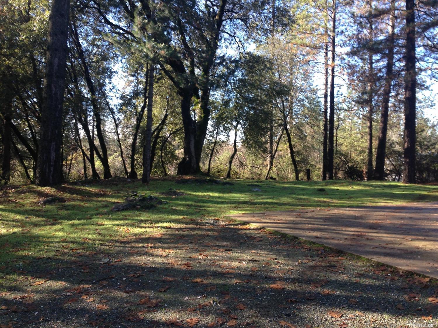 117 Crother Rd, Applegate, CA 95703 photo 9