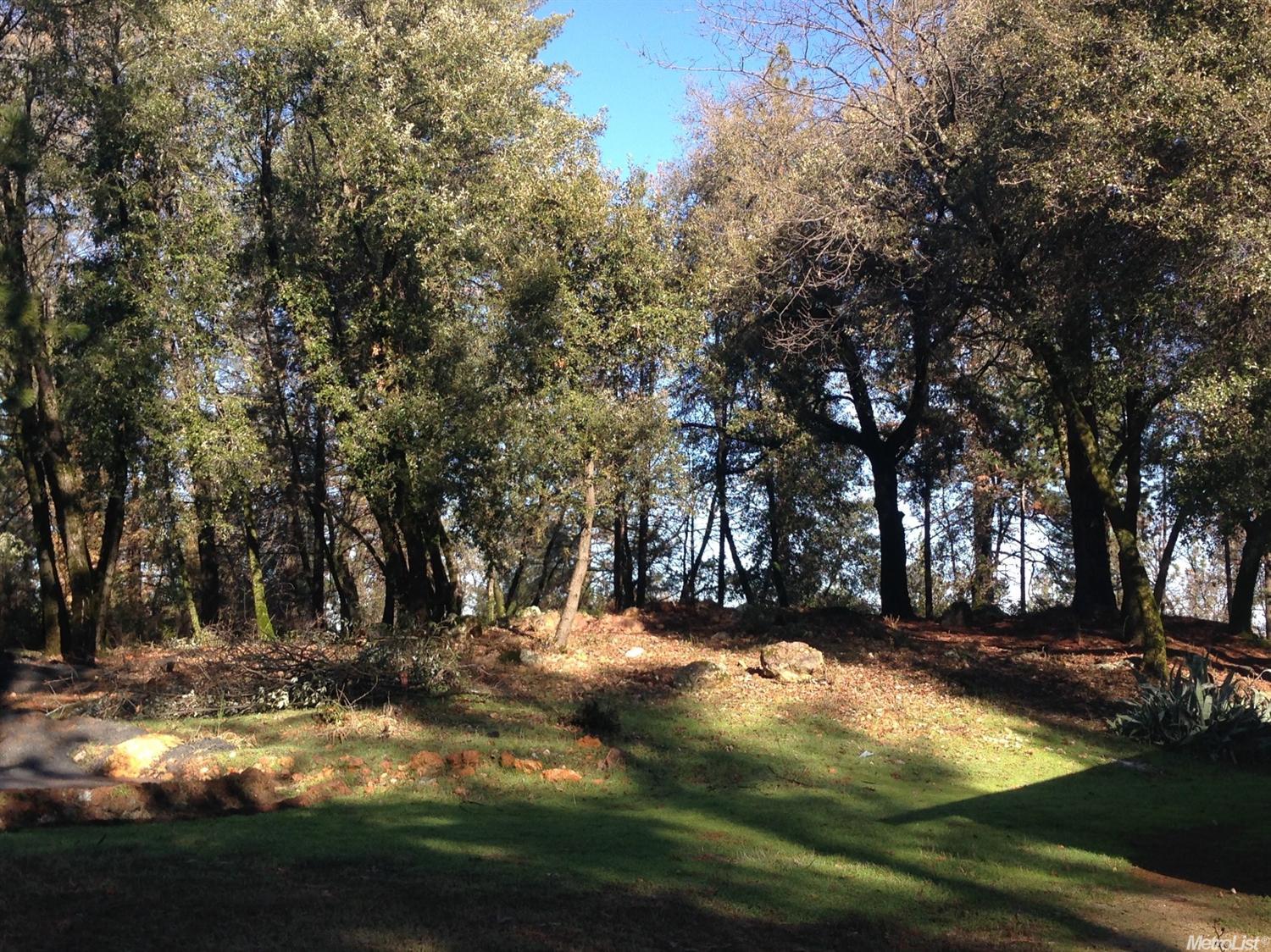 117 Crother Rd, Applegate, CA 95703 photo 7