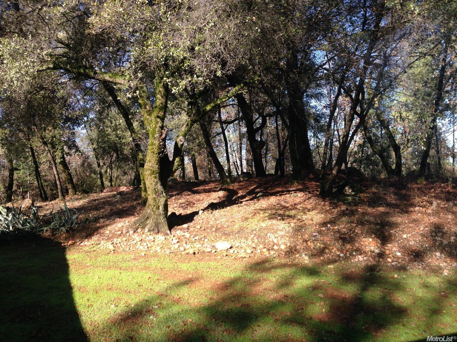 117 Crother Rd, Applegate, CA 95703 photo 8