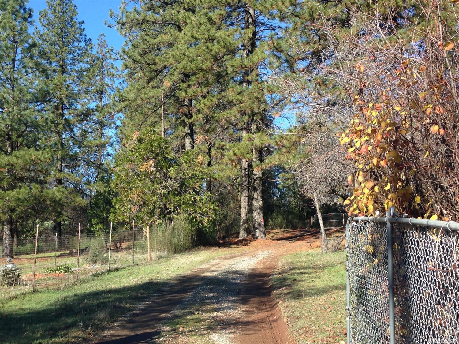 117 Crother Rd, Applegate, CA 95703 photo 6