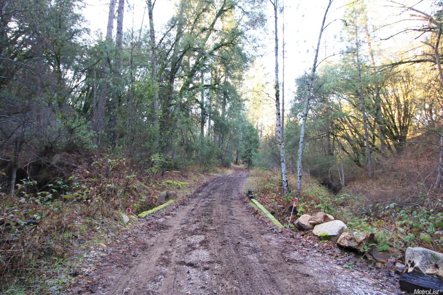 23153 Knickerbocker Flat Rd, Columbia, CA 95310 photo 17