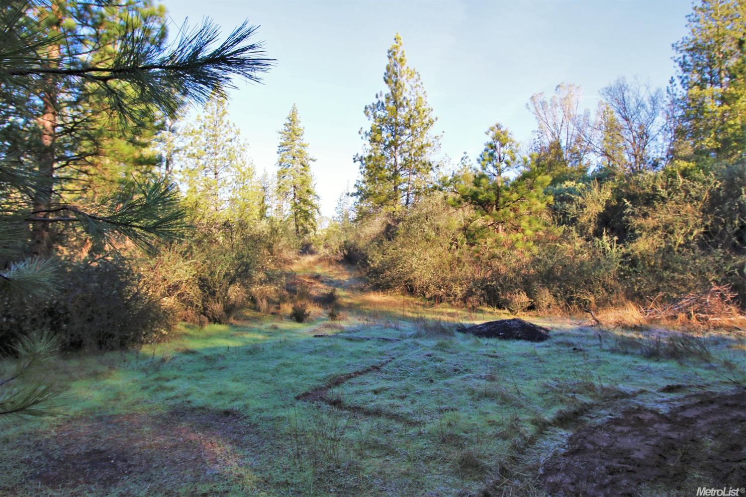 23153 Knickerbocker Flat Rd, Columbia, CA 95310 photo 4