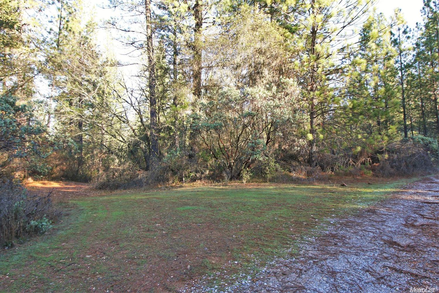 23153 Knickerbocker Flat Rd, Columbia, CA 95310 photo 19