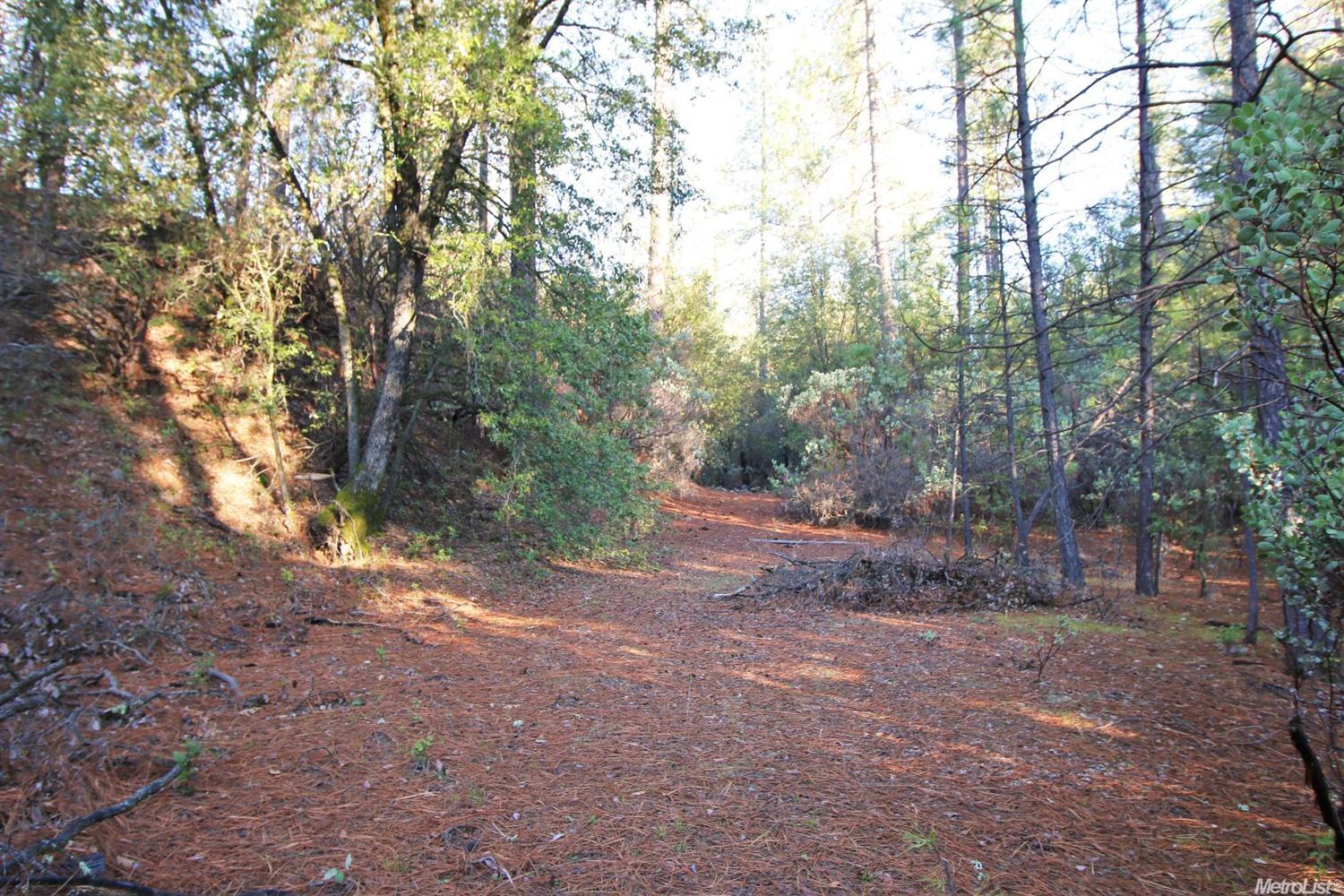 23153 Knickerbocker Flat Rd, Columbia, CA 95310 photo 3