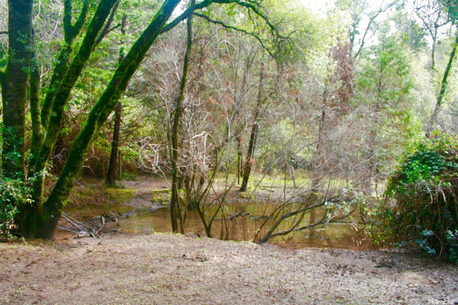 3540 Freedom Rd, Placerville, CA 95667 photo 4