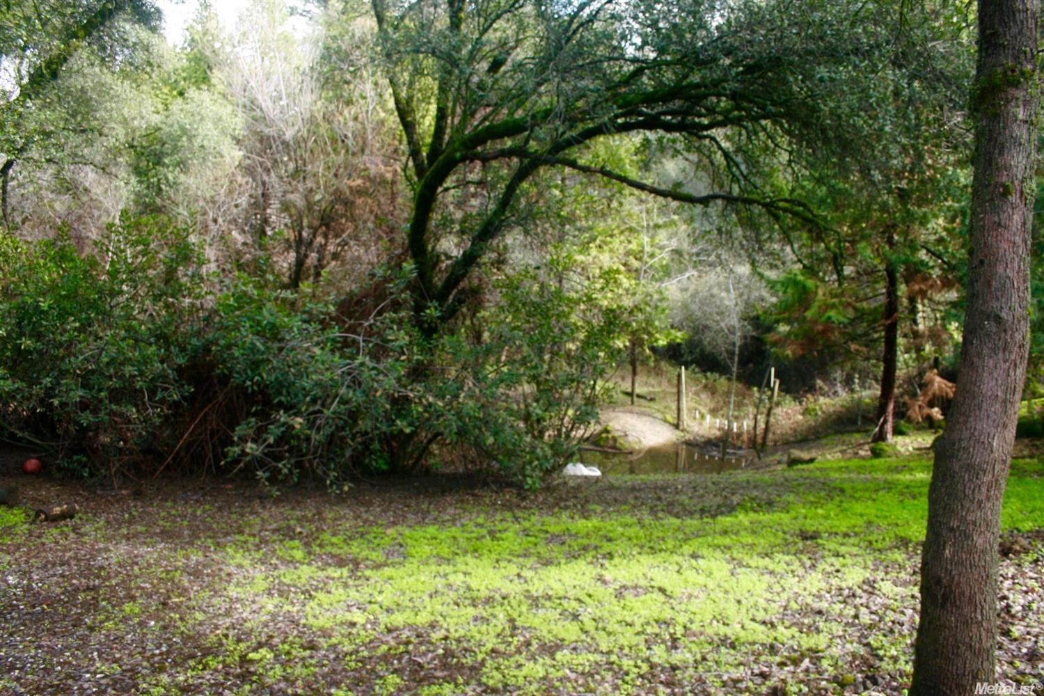 3540 Freedom Rd, Placerville, CA 95667 photo 3