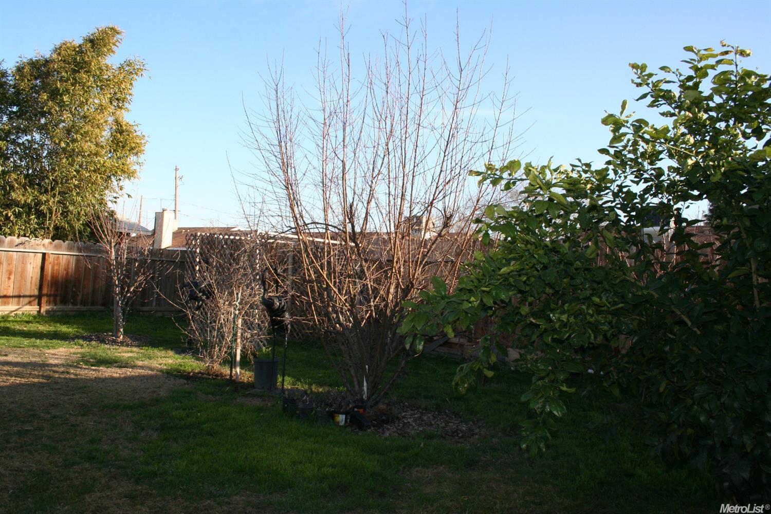 524 Seville Way, Merced, CA 95341 photo 2