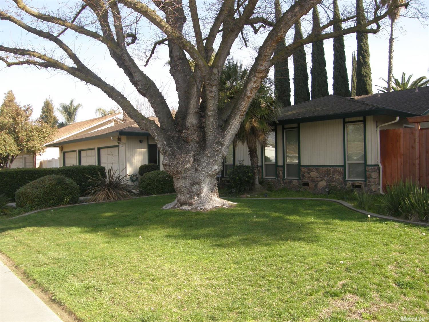 1120 Springcreek Dr, Modesto, CA 95355 photo 5